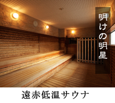 fureai_sauna